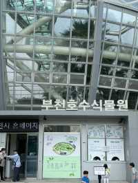 상동 호수공원의 수피아 가자