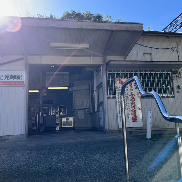 【岩湧山でススキ三昧】 🌾　大阪