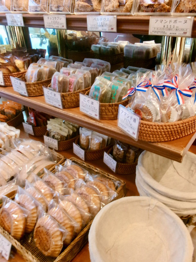 【名古屋攻略】歩いて食べて整って。名古屋の「じわじわ好きになる」1日旅