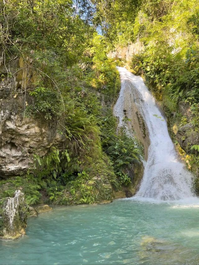 Nature’s Splash Zone