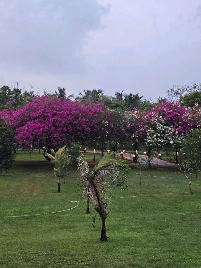 Lovely staycation for a short weekend geyaway