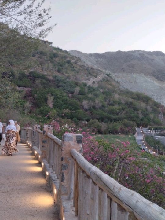 A Day in Kalba Hanging Gardens