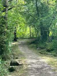🌿 Altarmweg Wallsee: オーストリアの風光明媚なリバーサイドハイキング