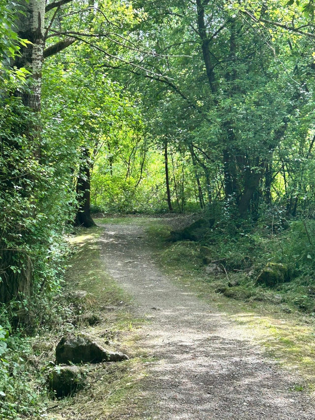 🌿 Altarmweg Wallsee: オーストリアの風光明媚なリバーサイドハイキング