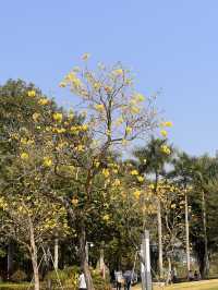 適合親子郊遊的深圳香蜜公園