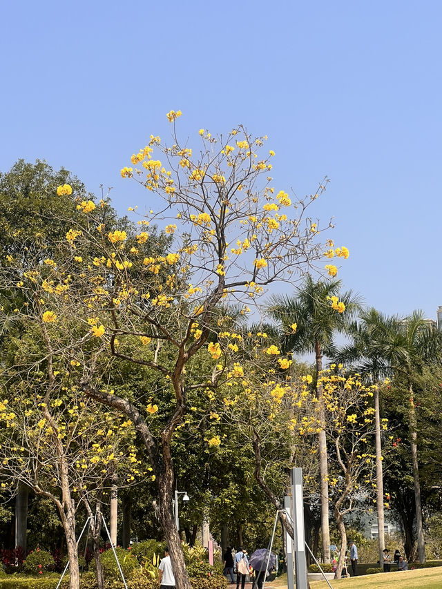 適合親子郊遊的深圳香蜜公園