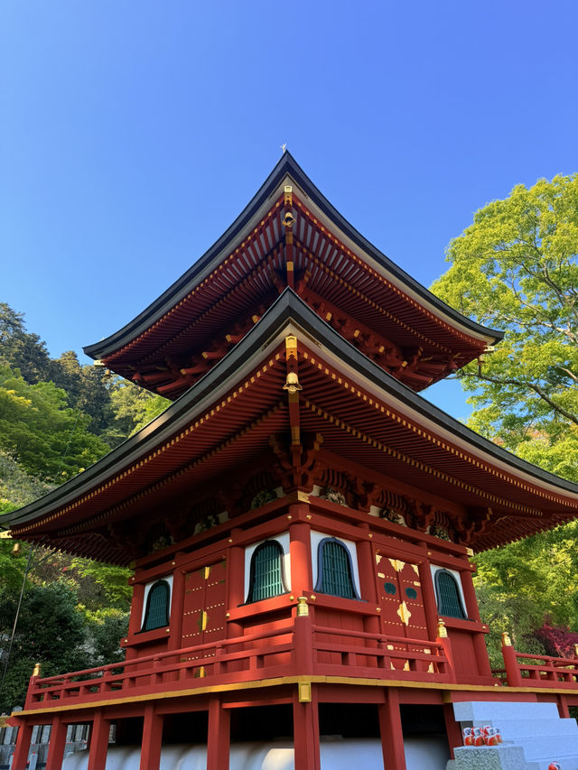 大阪｜被達摩包圍的勝尾寺 鐮倉幕府起將軍都要來求勝的千年古寺