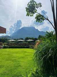 チェンマイの静けさに包まれて、心がほどける旅へ。🌿✨🕊️