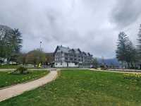 Lake Bohinj 