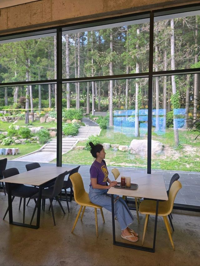 비밀스런 숲속 정원이 펼쳐지는 부산카페🌳
