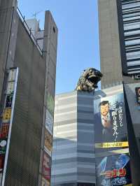 Chiangmai Osaka Fuji Tokyo