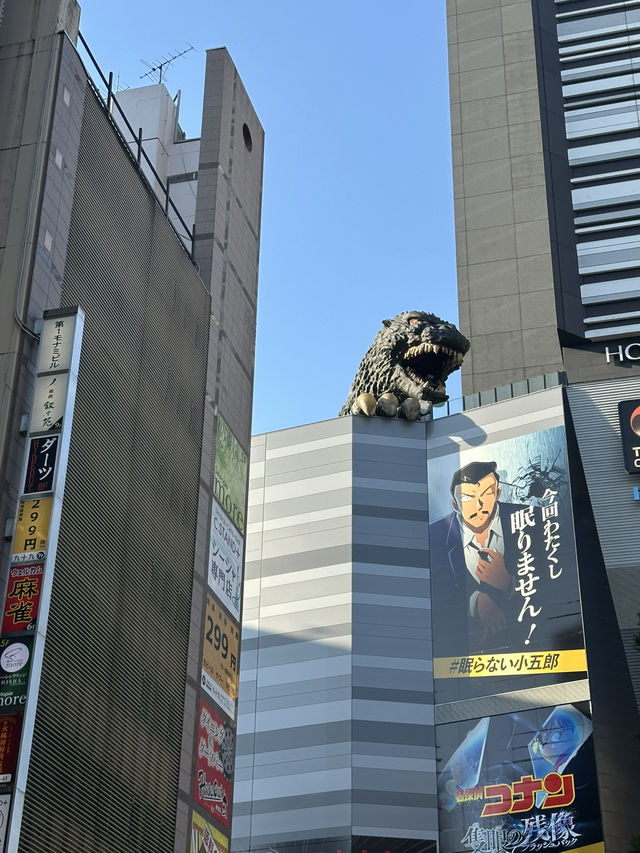 Chiangmai Osaka Fuji Tokyo