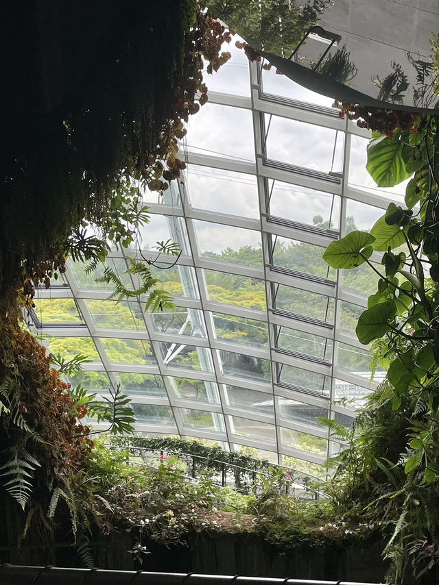 🌳 미래 속 정원, 싱가포르 가든스 바이 더 베이 🌿🌟