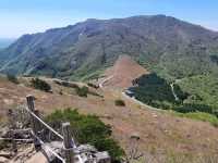 Exploring Ganwolsan Was a Sweet Escape