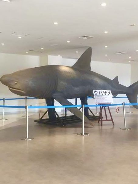  沖縄では島の時間が違う🇯🇵✨