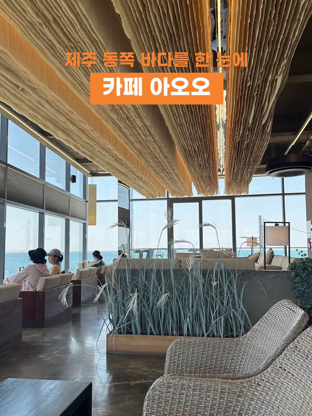제주의 바다와 감성을 동시에☕️ 카페 아오오