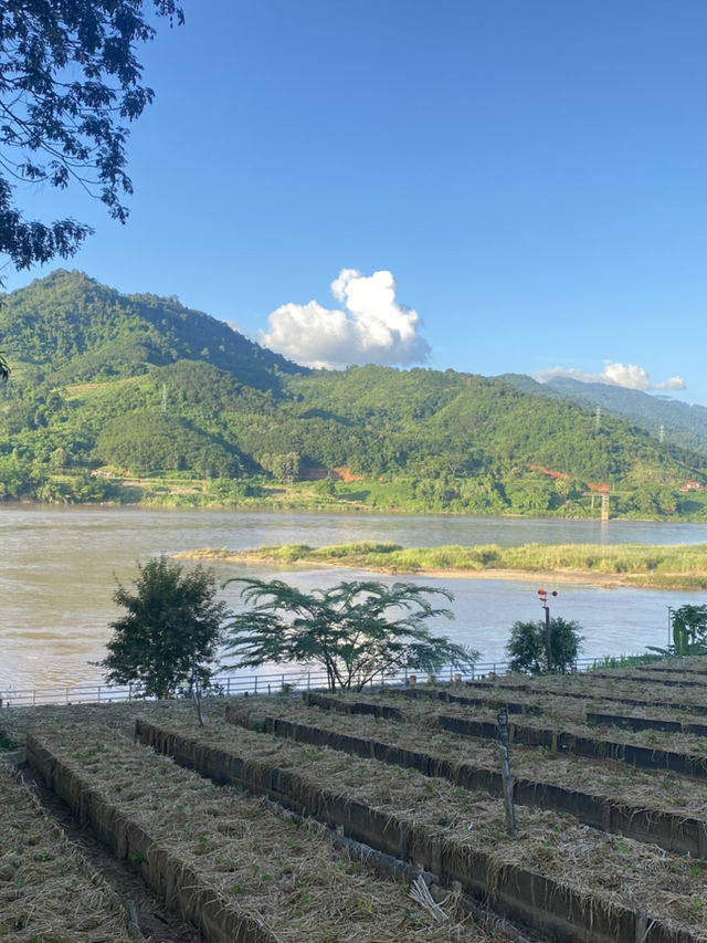 เชียงของ
