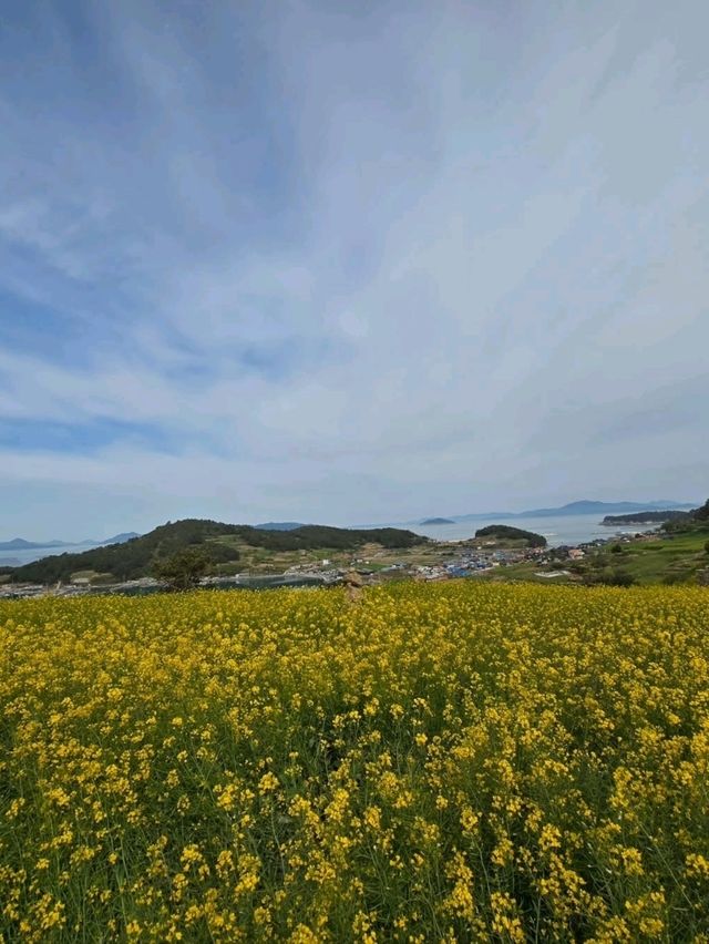 Where Wildflowers, Sea Breezes, and Chill Vibes Collide