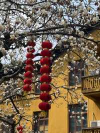 The spring in Faxi Pagoda