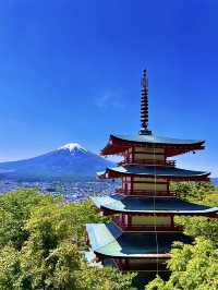 โอซาก้า🇯🇵