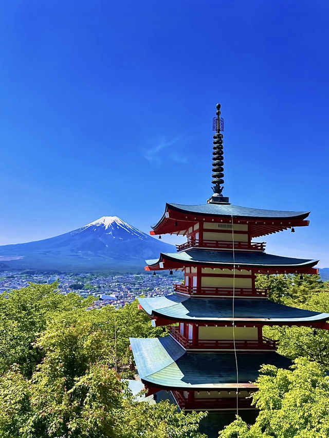 โอซาก้า🇯🇵