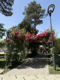 A Day in Dushanbe for Under $10 – Parks, Cafés & Local Vibes