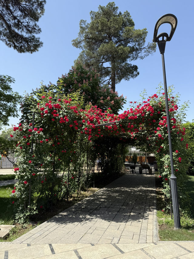 A Day in Dushanbe for Under $10 – Parks, Cafés & Local Vibes