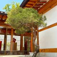 🇰🇷 Bukchon Hanok Village Tips 🏘️✨
