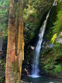 Oboke & Koboke: Japan’s Untamed Natural Wonder