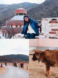 🇨🇳Backpack ที่คุนหมิงเก็บ 2 อุทยานสมัยไม่มีรถไฟ!