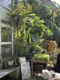 Discover Baan Kang Wat: Chiang Mai’s Hidden Art Village You’ll Fall in Love With