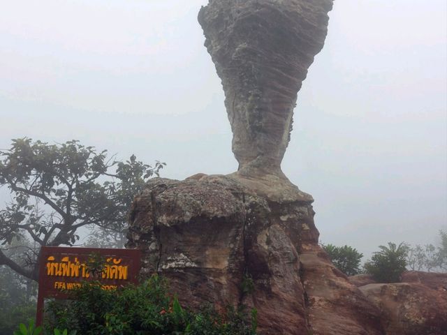 ลานหินงาม อุทยานแห่งชาติป่าหินงาม