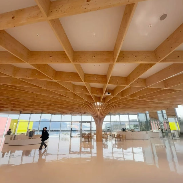 Japan | It Lives Up to the Hype! The World's Most Beautiful Art Museum! 🎨✨