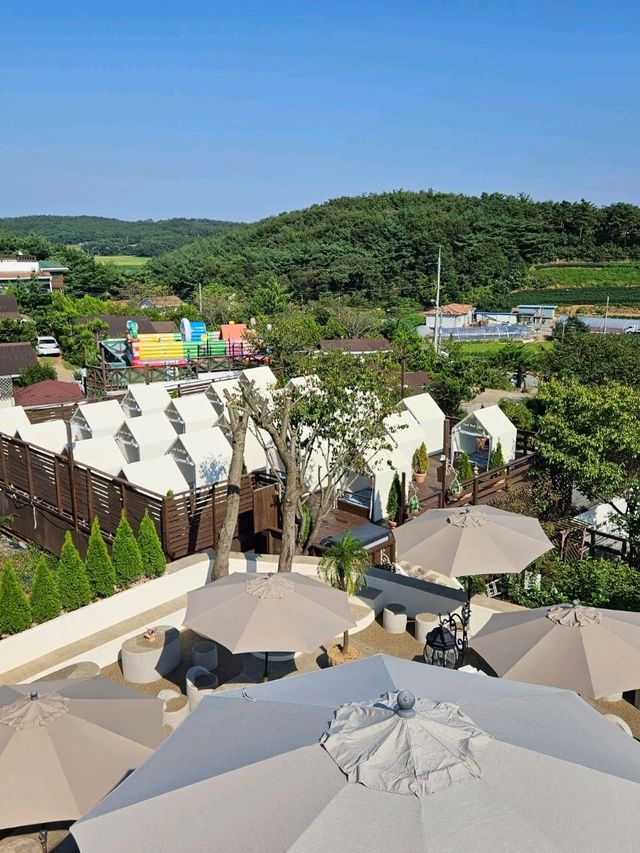 안면도 감성 애견카페 트레블브레이크 커피