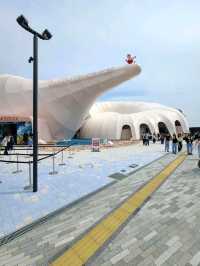 OSAKA EXPO 2025 (오사카 엑스포 2025) 야외데이트