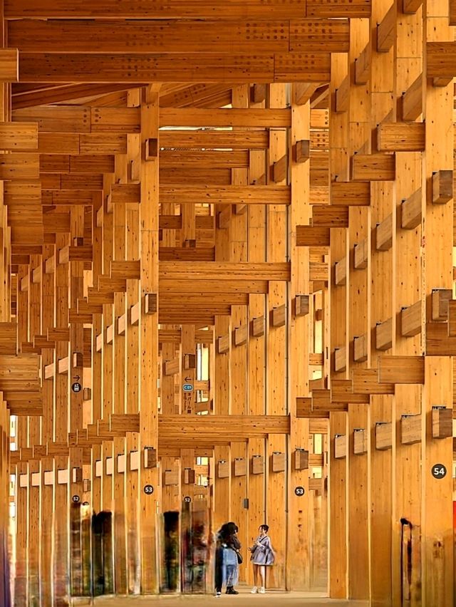 OSAKA EXPO 2025 (오사카 엑스포 2025) 야외데이트