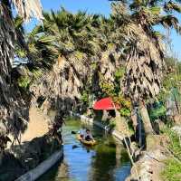 Jeju Island's Must-Try: The Secret Jungle Boating Park! 🌴🛶