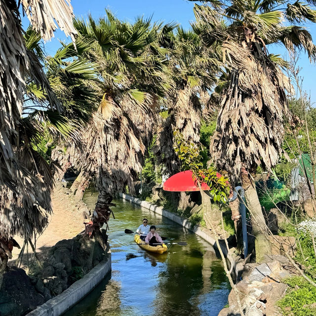 Jeju Island's Must-Try: The Secret Jungle Boating Park! 🌴🛶