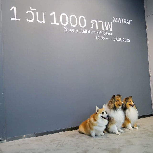 ไปชมภาพน้องๆกันครับ 🐾🐾🧡