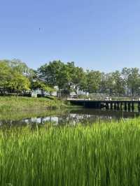 A Wetland Oasis by the River – Houtan Park, Shanghai