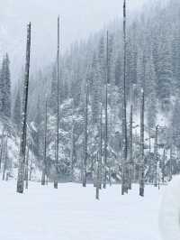 Frozen Dreams: A Winter Escape to Lake Kaindy