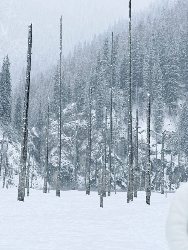 Frozen Dreams: A Winter Escape to Lake Kaindy