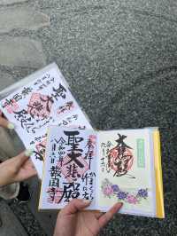  🌿【鎌倉・報国寺】竹林に包まれる静寂の時間、美しき“禅”の世界へ 