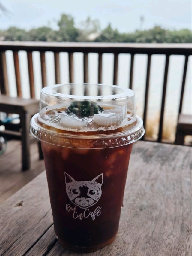 ☕ : Red Cat Cafe. คาเฟ่ฉะเชิงเทรา