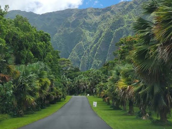 THE STAIRWAY TO HEAVEN  in OAHO HAWAII 