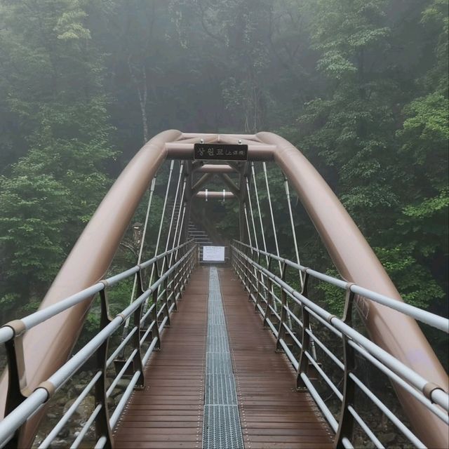 Nature & Vibes Near Sansuhwa Pension