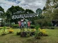 เดินเล่น🌴🌴 ที่สวนสาธารณะเทศบาลนครหาดใหญ่ 🌲🌲กัน
