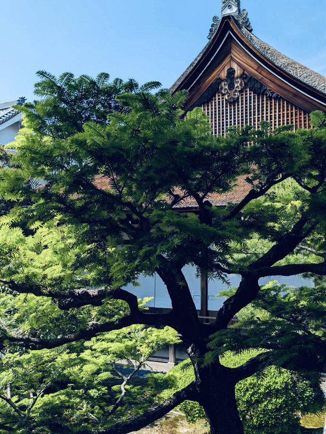 The Daikaku-ji Temple