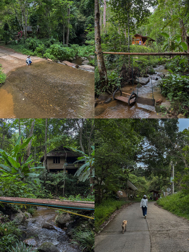 ฤดูฝนที่บ้านป่าเหมี้ยง จ.ลำปาง 🏡⛰️🌧️🌳
