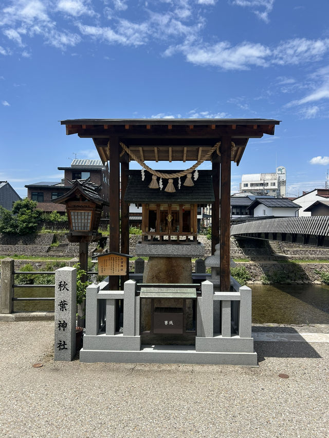 Day Trip from Nagoya: Shirakawa-go and Takayama